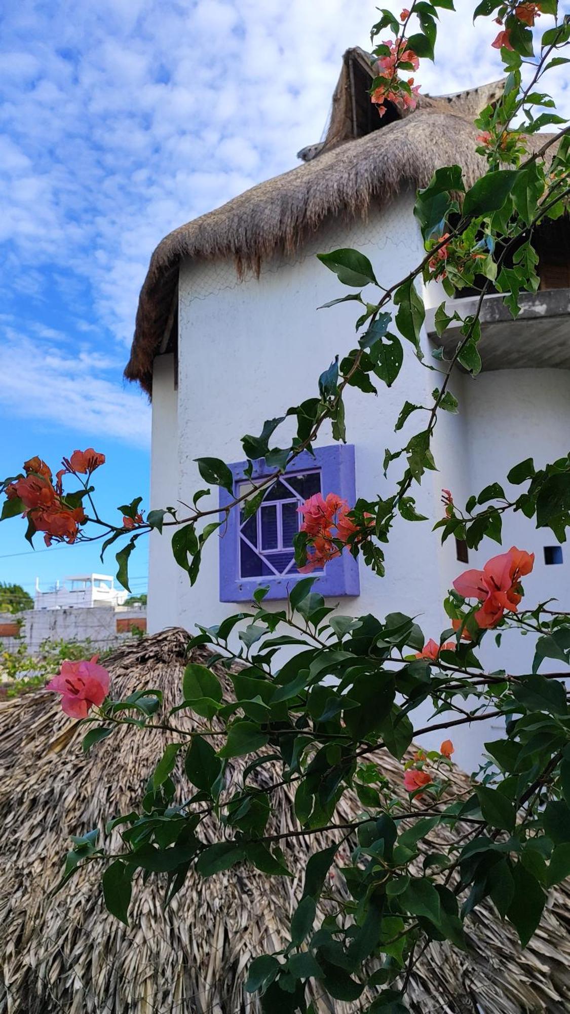 Amaranto Bed And Breakfast Cozumel Exterior photo